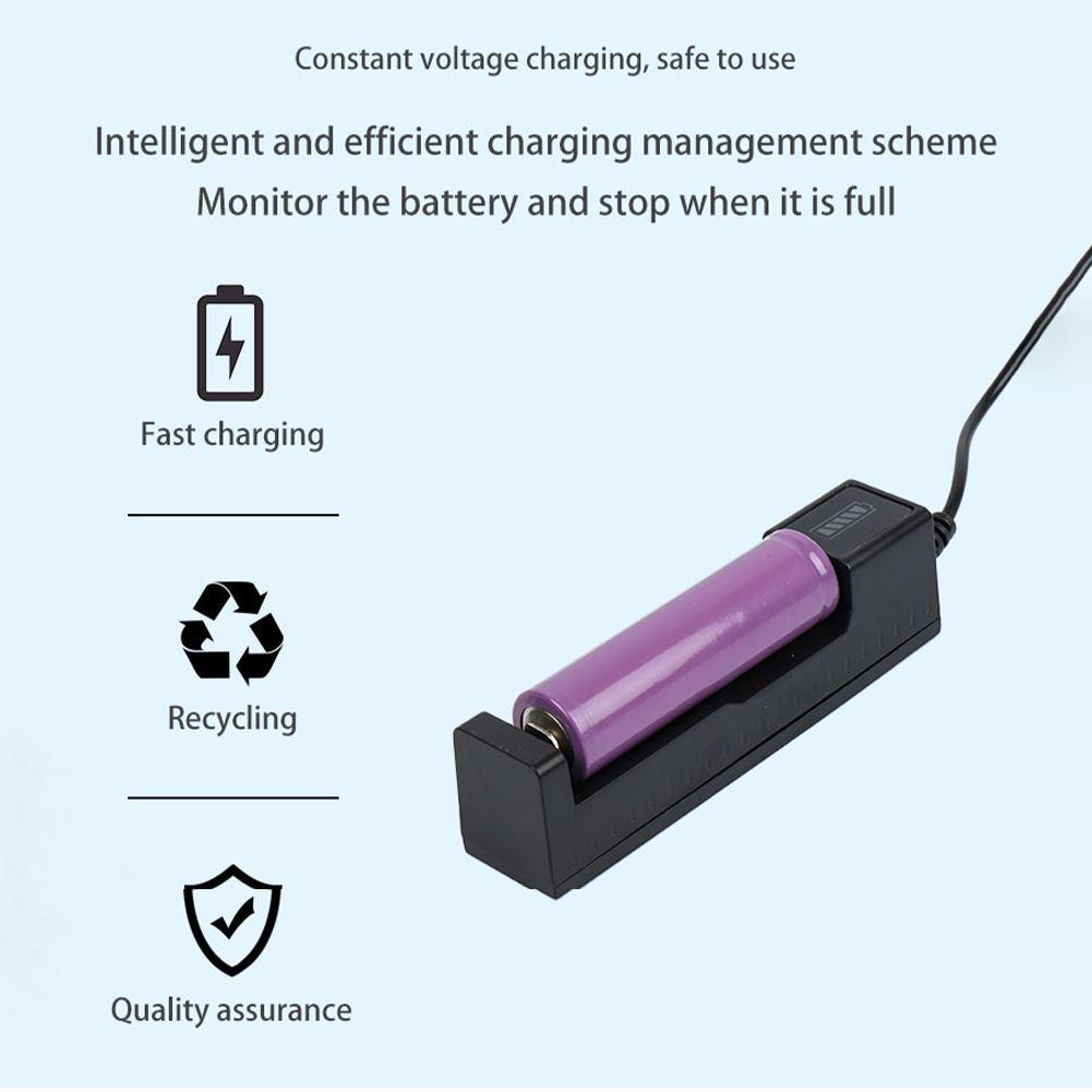 Caricabatterie Universale 1865 - Balance Charger Rc recensione e prezzo